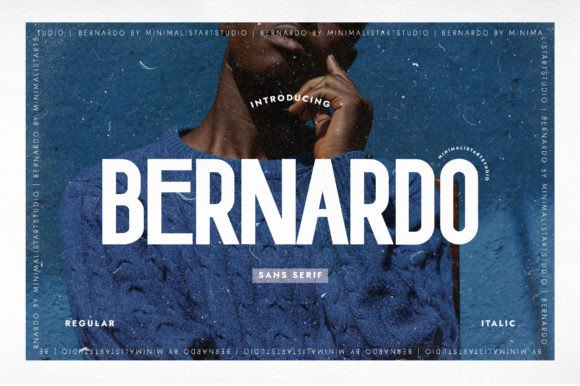 Bernardo Typeface: A Minimalist Choice for Modern Branding