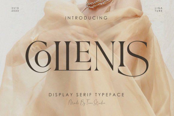 Collenis: A Premium Serif Typeface for Elegant Web Design